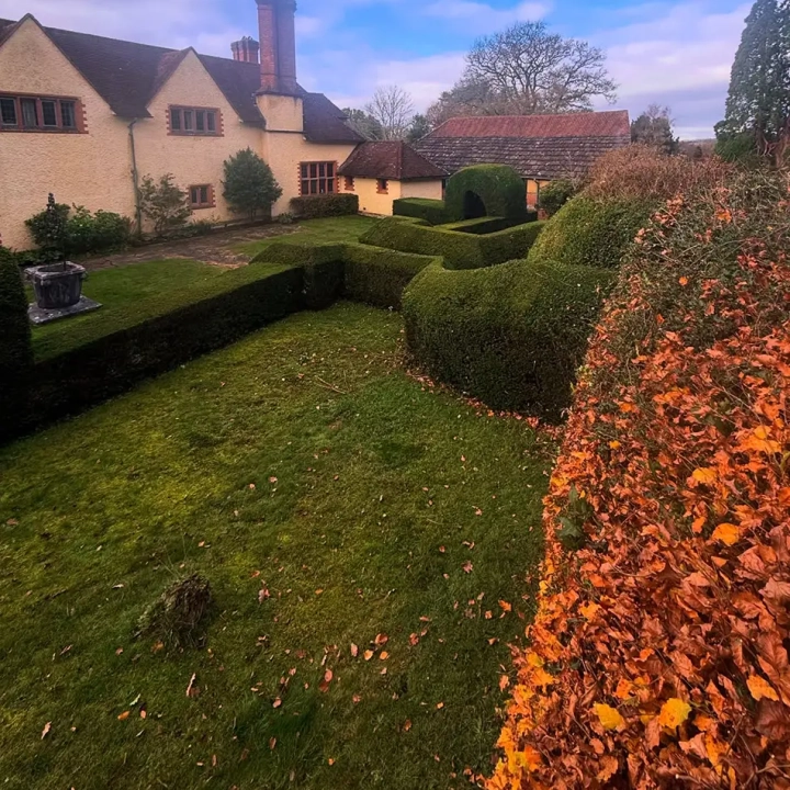 Autumn Treatments