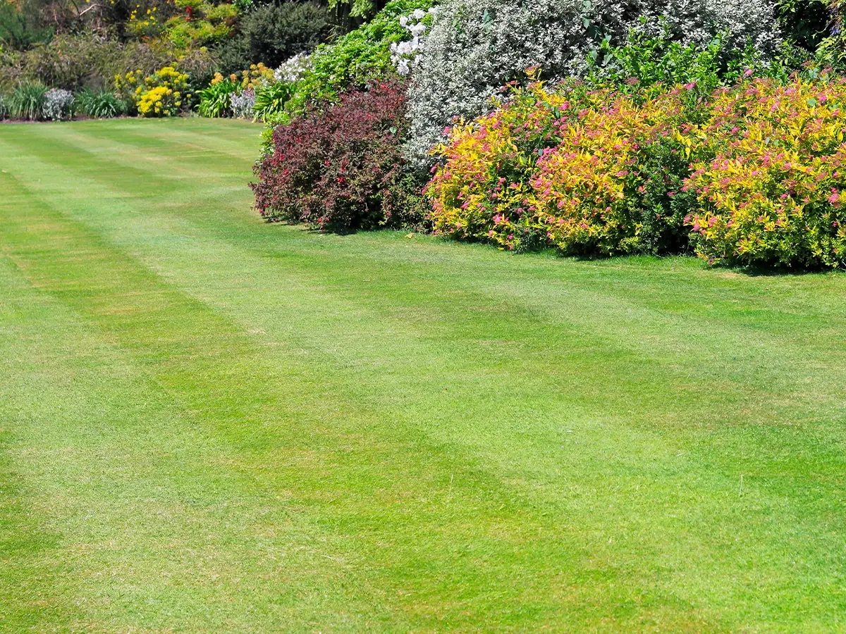 Domestic and commerical lawn care