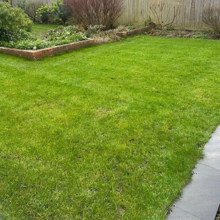 Early Spring Lawn Care