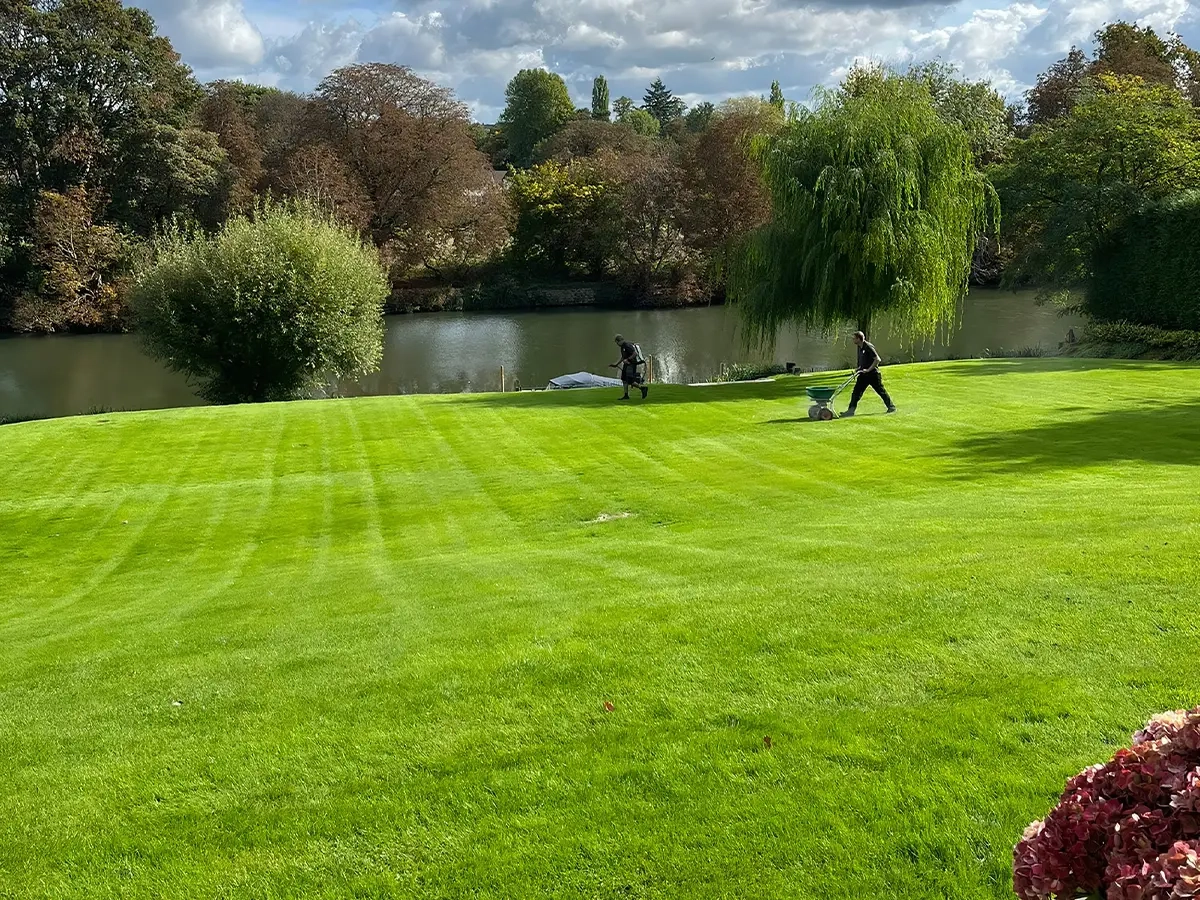 Lawn Company Aylebury