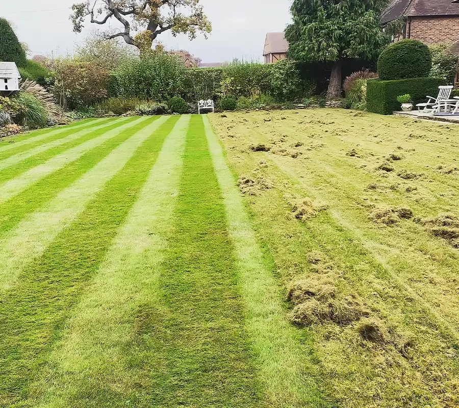 Lawn Care Thatch Removal Surrey
