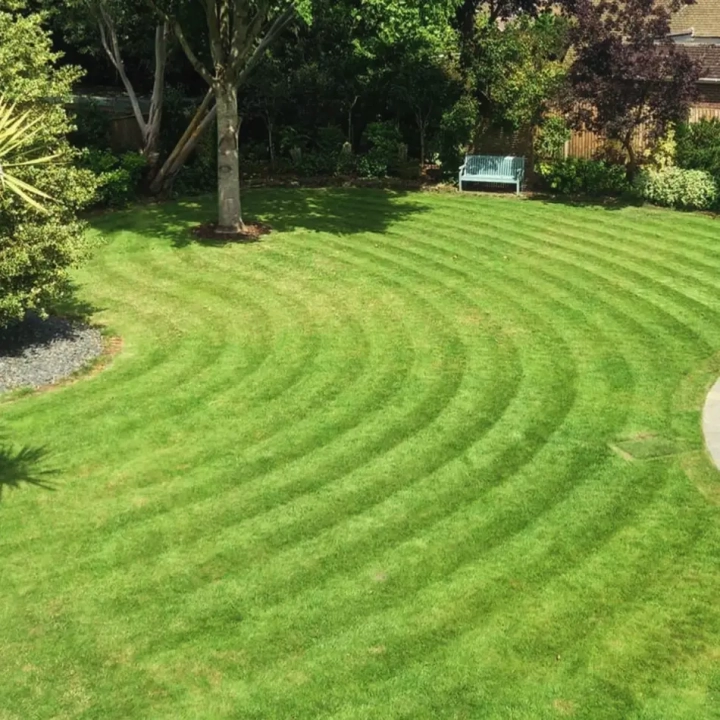 Summer Lawn Care